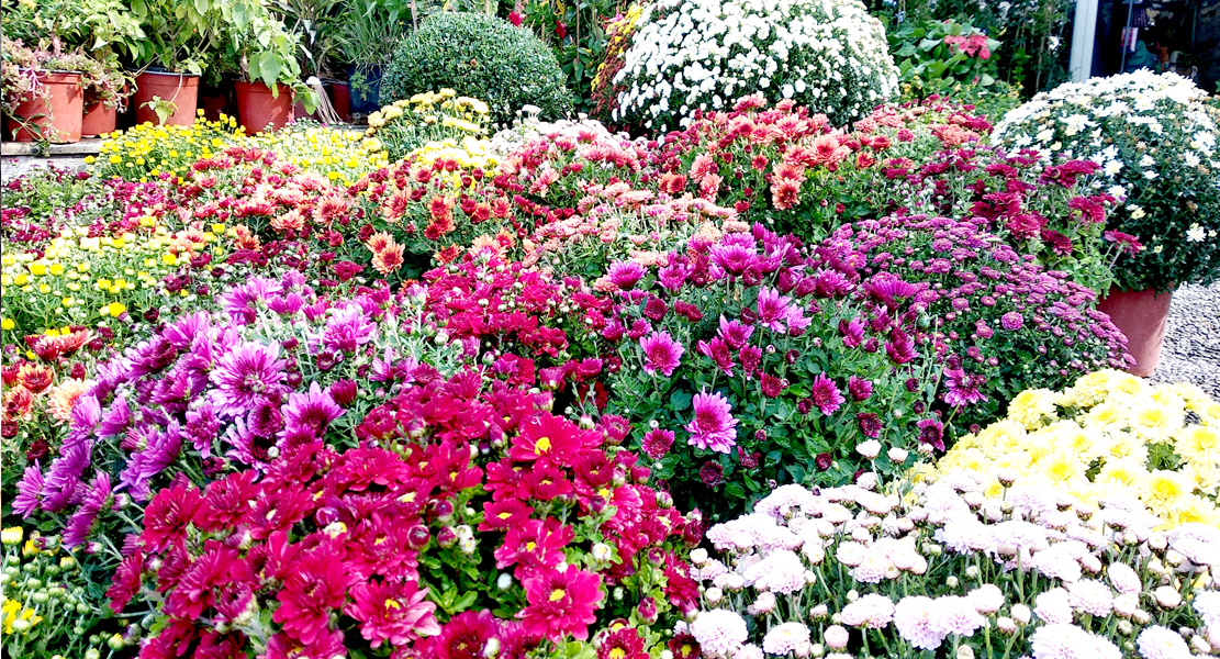 THE AMAZING SLIDESHOW ADDON!