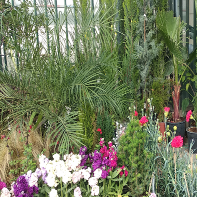 Geoponiko Katasthma Iraklio Kritis Geoponos 02